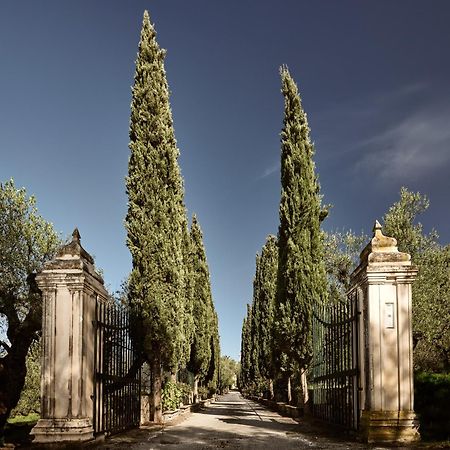 Almeira 4Acre Estate, For Unparalleled Seclusion, By Thinkvilla Zakynthos Town Exterior foto