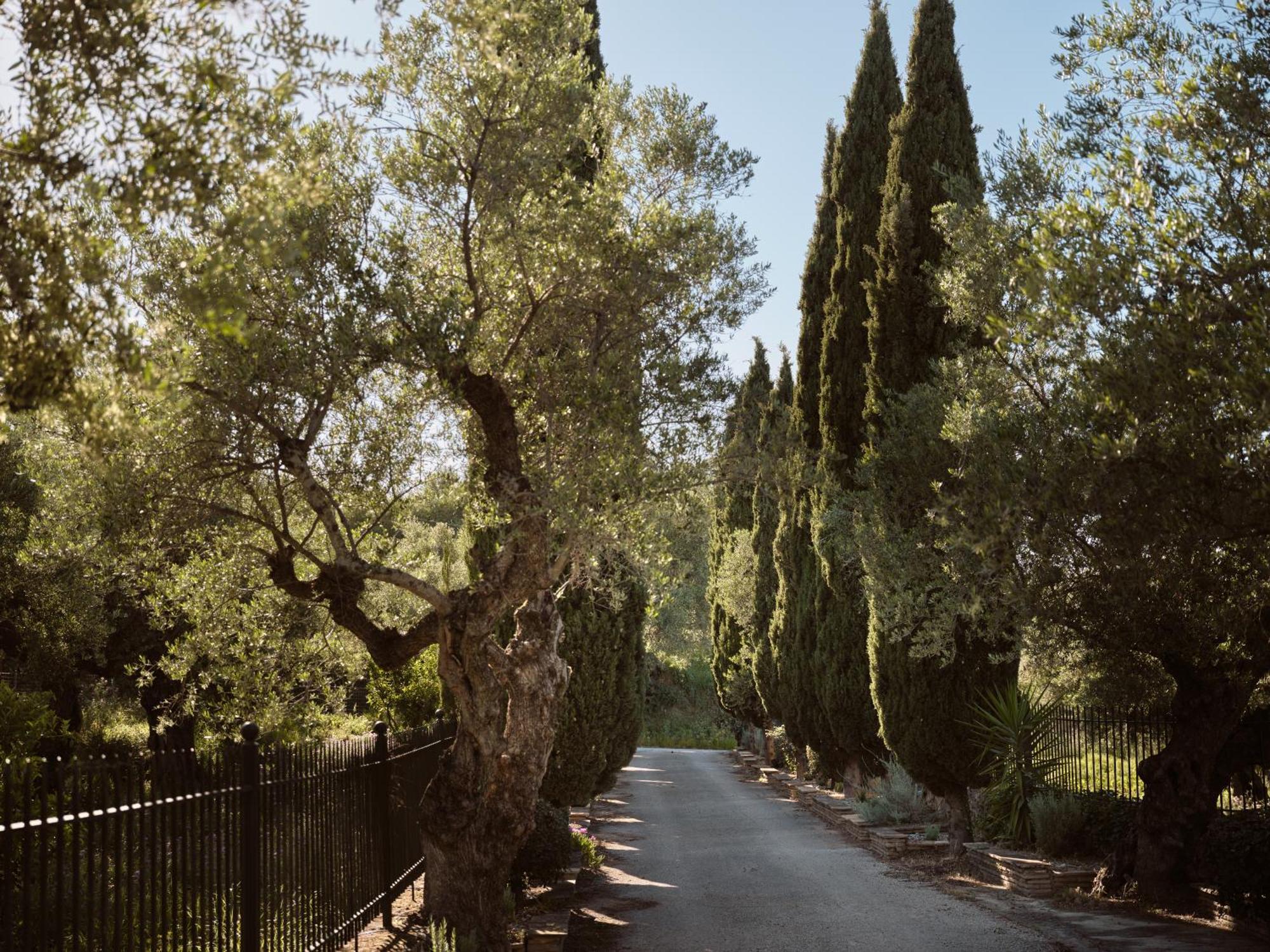 Almeira 4Acre Estate, For Unparalleled Seclusion, By Thinkvilla Zakynthos Town Exterior foto